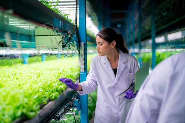 What are the Prospects for Organic Vertical Farming in UK Cities?
